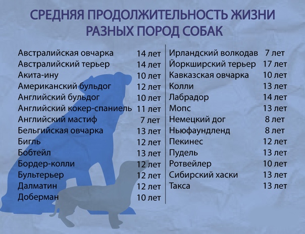 Сколько лет живет: Сколько лет в среднем живет человек в хороших условиях: факты