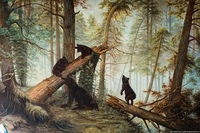 Сколько медведей на картине шишкина утро в сосновом лесу: Утро в сосновом лесу. Иной взгляд на шедевр Шишкина