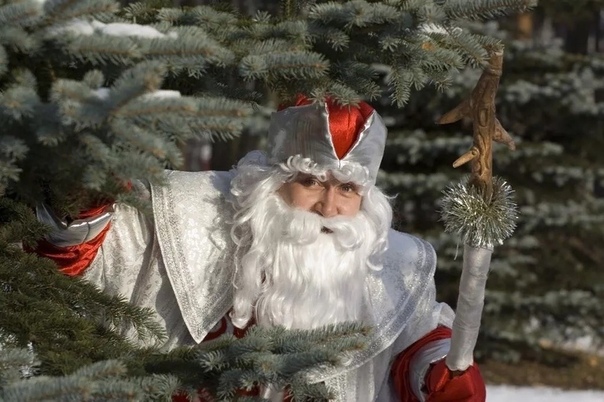 Дед мороз у елки: Новогодняя елка для детей от года