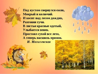 Стихи об осени для старших дошкольников: СТИХИ ОБ ОСЕНИ ДЛЯ СТАРШИХ ДОШКОЛЬНИКОВ.