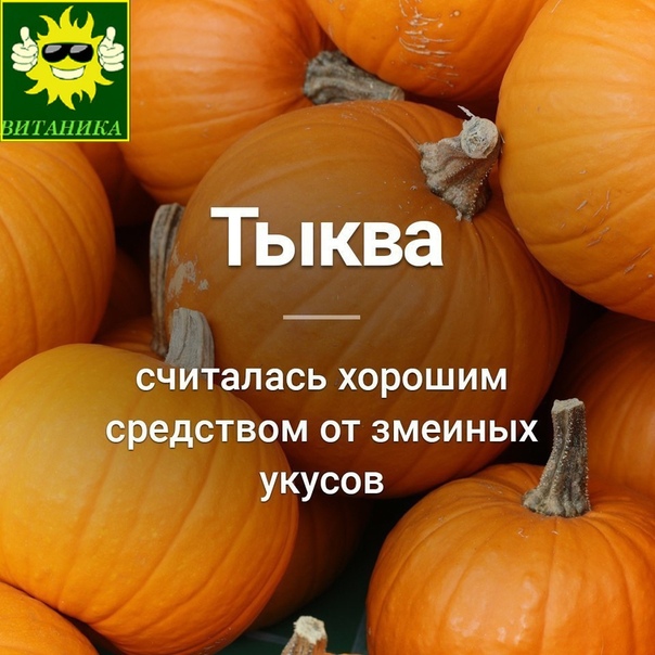 Тыква для детей польза: С какого возраста можно давать ребенку тыкву, как приготовить тыквенный суп и пюре?