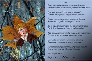 Стихи про кленовые листья для детей: Стихи про клен | Стихи