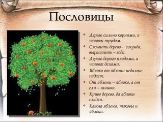 Дерево держится корнями а человек друзьями автор: Дерево держится корнями, а человек семьей