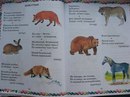 Загадки про животных для детей 3 лет: Загадки для детей 3 - 4 лет