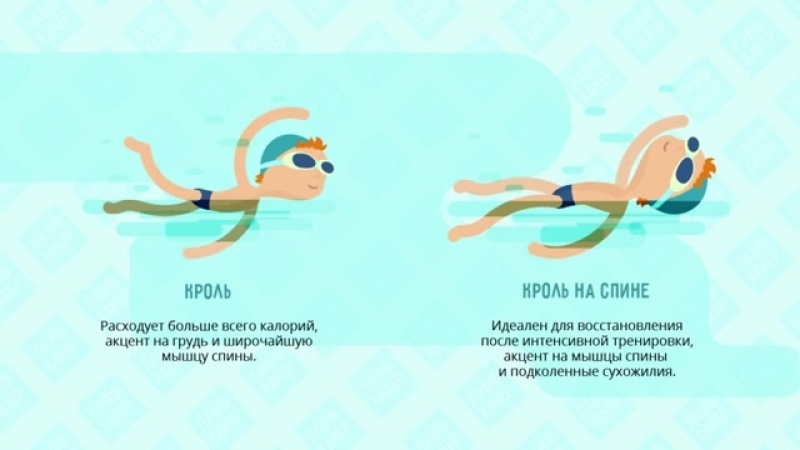 Польза плавания для детей: Польза плавания для детей и взрослых. Снаряжение для плавания