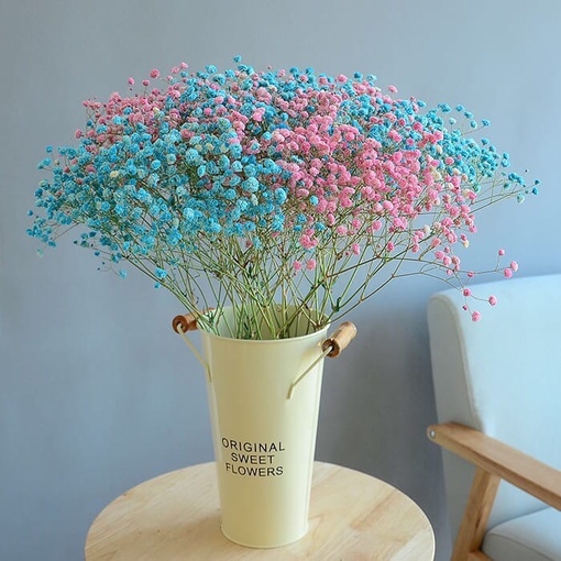Цветы которые долго стоят в вазе названия и фото