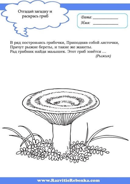 Детская загадка про грибы: Загадки про грибы с ответами