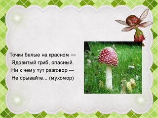 Загадка про грибы и ягоды: Загадки про ягоды и грибы часть 2