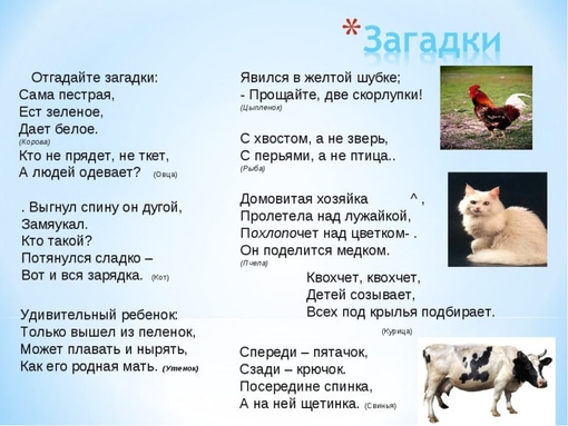 Русские народные загадки с ответами про животных: Загадки про животных для детей с ответами