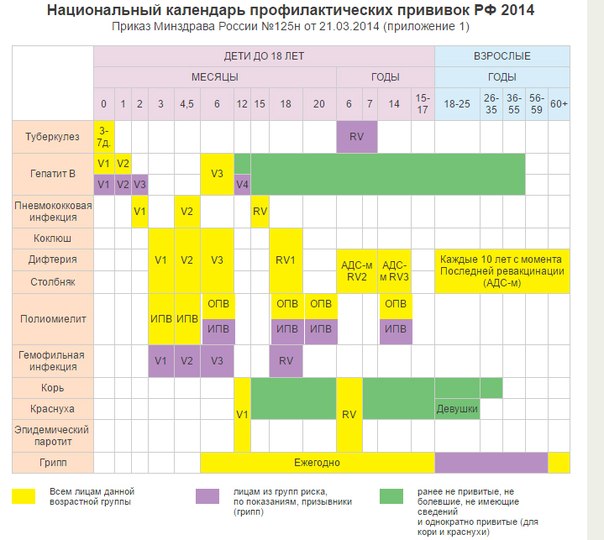 План прививок детям в россии: График прививок детям до года, какие плановые привики делают грудничкам