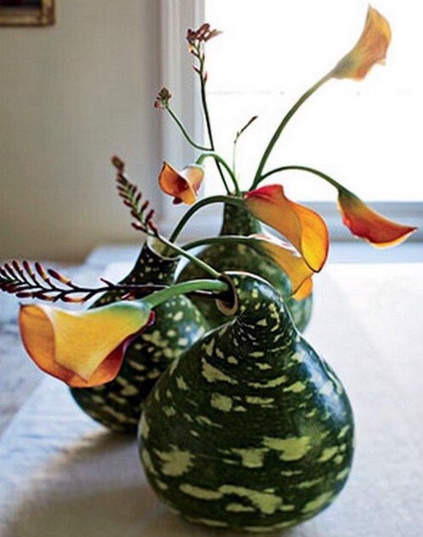 Как из тыквы сделать вазу для цветов: Ваза из тыквы своими руками: пошаговый мастер-класс c фото