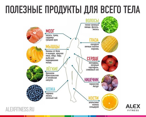 Самые полезные для детей продукты: топ 10 » Школа счастливого материнства