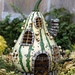 Домик из декоративной тыквы: Выращивание и использование декоративной тыквы - Огород, сад, балкон