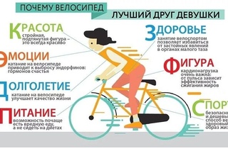 Велоспорт плюсы и минусы: Езда на велосипеде — плюсы и минусы для человека