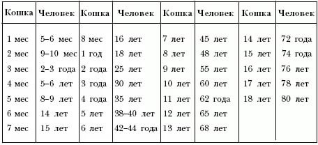 Сколько лет живет: Сколько лет в среднем живет человек в хороших условиях: факты