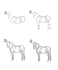 Как нарисовать лошадь для детей пошагово: Как нарисовать лошадь поэтапно легко и красиво