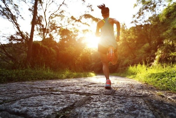 Правила утренней пробежки: советы, как правильно бегать по утрам