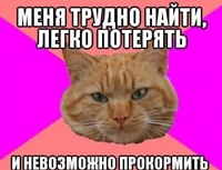 Легко друзей потерять да трудно: «Легко друзей найти, да трудно сохранить», — какой смысл пословицы?