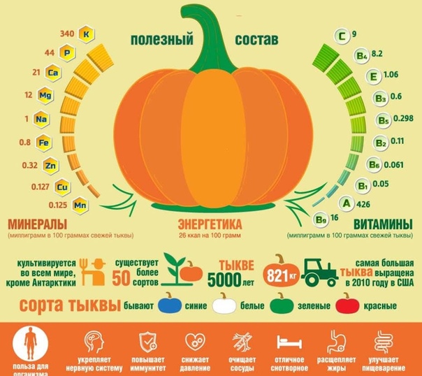 Тыква для детей польза: С какого возраста можно давать ребенку тыкву, как приготовить тыквенный суп и пюре?