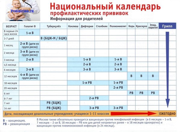 Календарь прививок это: Национальный календарь прививок. Родителям на заметку. Специалисты о прививках