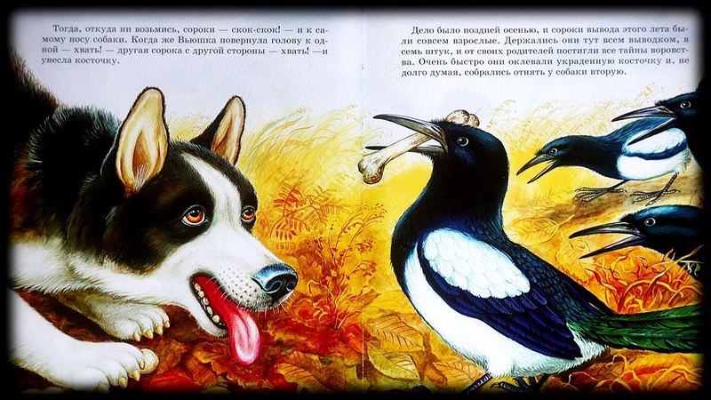 Сказки для детей слушать про животных: Аудиосказки про животных - слушать онлайн бесплатно