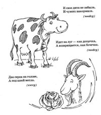 Русские народные загадки с ответами про животных: Загадки про животных для детей с ответами