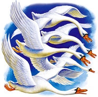 Аудио сказка гуси лебеди: Аудио сказка Гуси-лебеди. Слушать онлайн или скачать