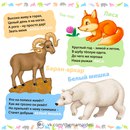Загадки про животных старинные: Русские народные загадки о животных — Заюшка