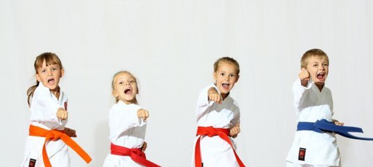 Упражнения каратэ для детей: Карате для детей | Osporte.info