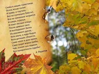 Стихи про осень для 10 классов: Стихи про осень для детей 10 лет