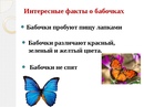 Загадка про бабочку: Загадки про бабочку с ответами