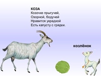 Загадка про козла: Загадки про козу | Для детей загадки о козе
