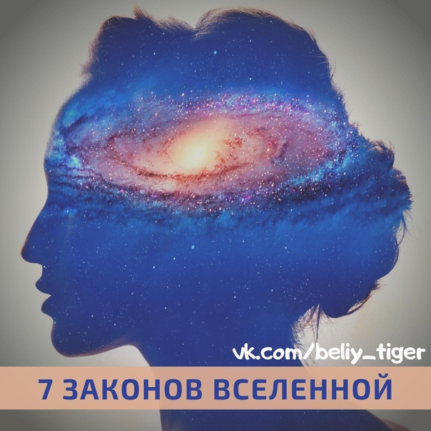 Живет в нем вселенная а вещь обыкновенная: «Живёт в нём вся Вселенная, а вещь обыкновенная» (загадка). ☆ 9 букв ☆ Сканворд