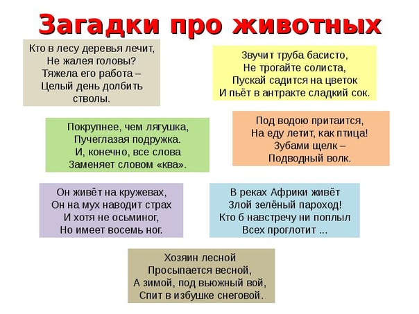 Загадки о домашних и диких животных с ответами: Загадки про домашних и диких животных для детей с ответами