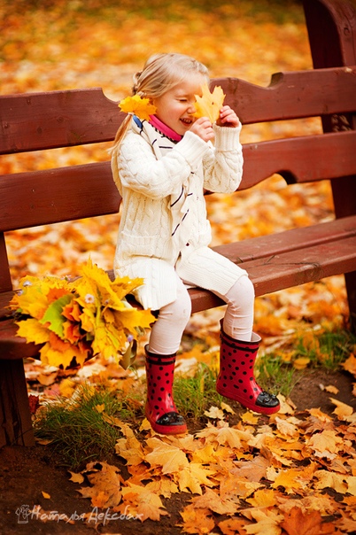 Осень для малышей: Сказки и рассказы про осень. 20 книг с картинками.