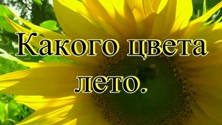 Песенка про лето слушать: Песенка о лете слушать онлайн и скачать