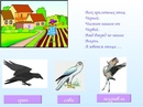 Загадки про птиц с ответами для 2 класса: Загадки про птиц для детей с ответами