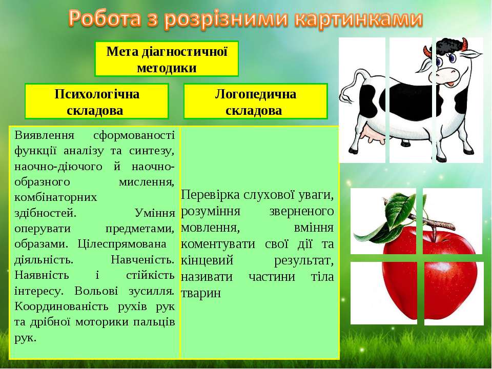 Методика раннього розвитку дітей раннього віку: Методики раннього розвитку дітей