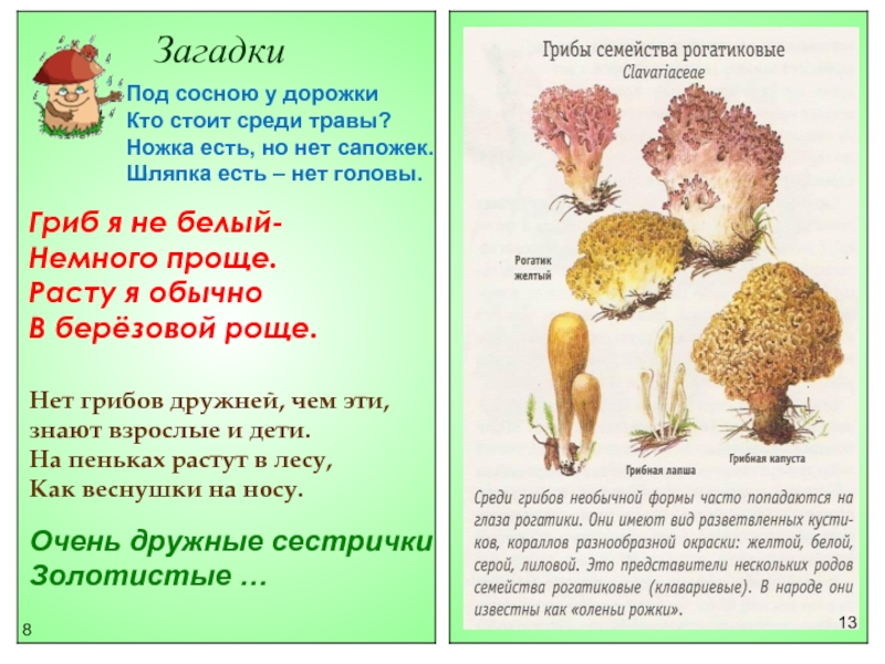 Загадки сложные про грибы: Загадки про грибы с ответами