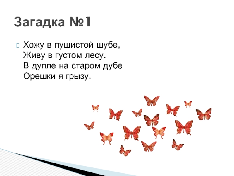 Бабочка загадка для детей: Загадки про бабочку для детей с ответами