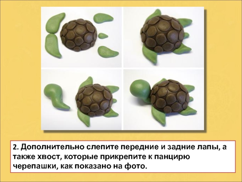 Как слепить из пластилина черепаху поэтапно: Как слепить черепаху из пластилина поэтапно