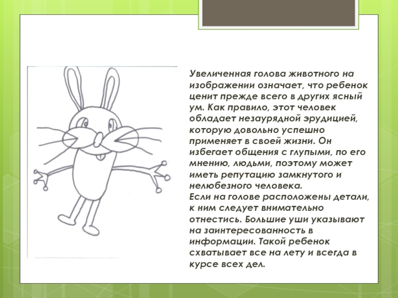 Тест воображаемое животное: «Ключи» к тесту «Несуществующее животное». Голова.