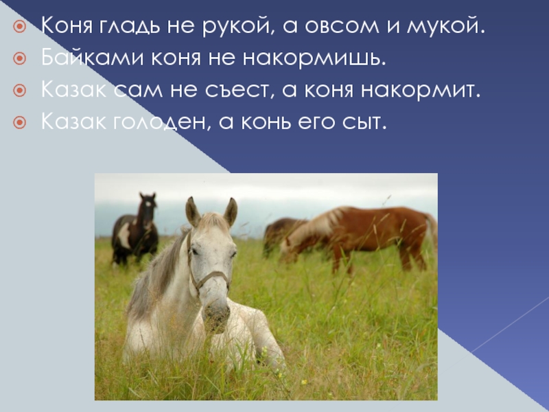 Конь стальной овса не просит а пашет и косит: Загадка: конь стальной овса не просит а пашет и косит