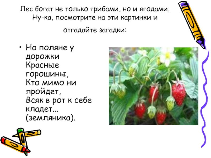 Загадка про грибы и ягоды: Загадки про ягоды и грибы часть 2