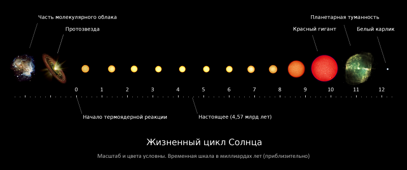 Как называются зарождающиеся звезды: Формирование звезды — Википедия – «Как появляются звезды?» – Яндекс.Знатоки