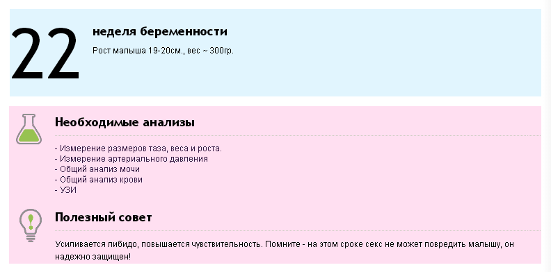 Сколько это 15 недель: что происходит с малышом и как он выглядит, размер ребенка, его развитие и ощущения, пол