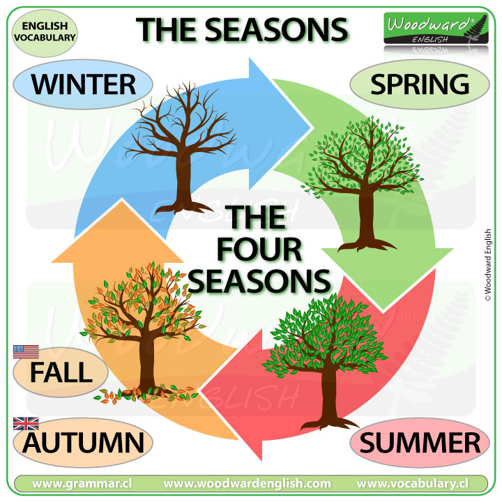 The names of the seasons in English - ESOL Vocabulary