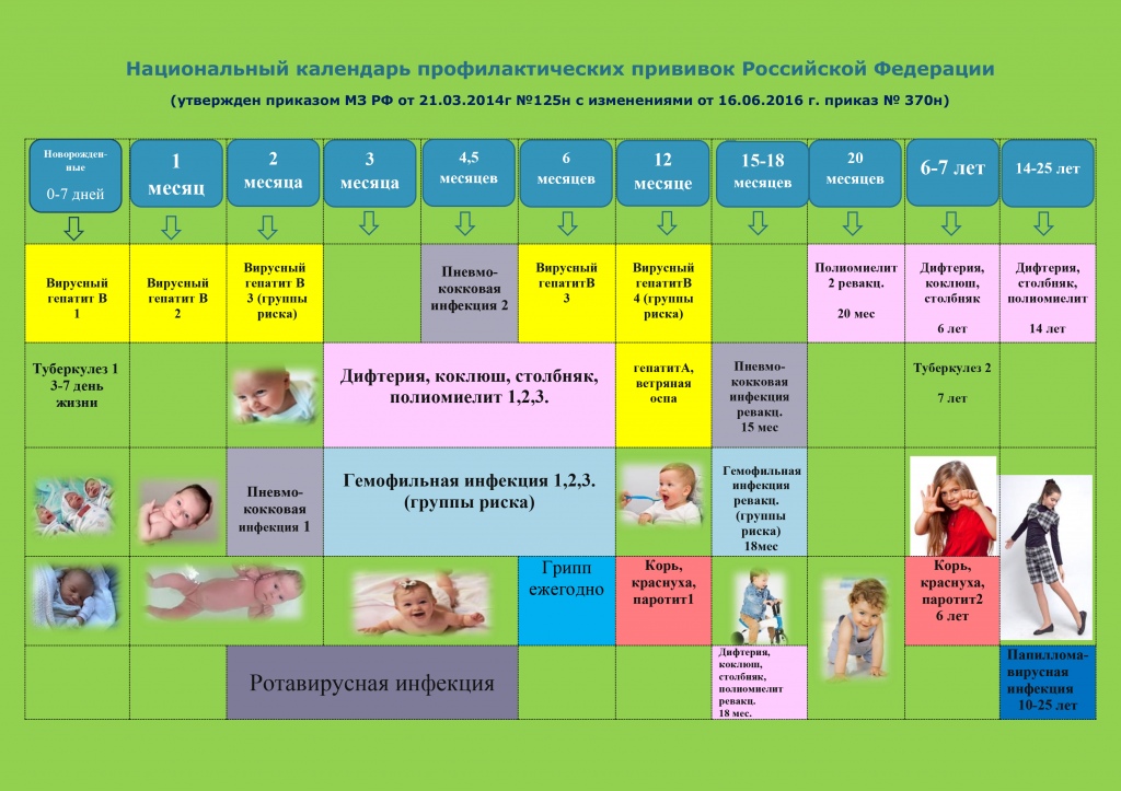 Национальный календарь прививок 2020 в таблице взрослым: Национальный календарь профилактических прививок - Центр общей врачебной практики