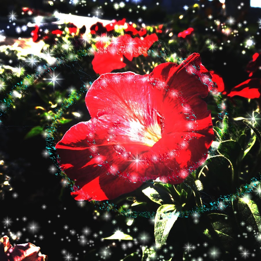 Цветочек аленький онлайн: Аудио сказка Аленький цветочек. Слушать онлайн или скачать