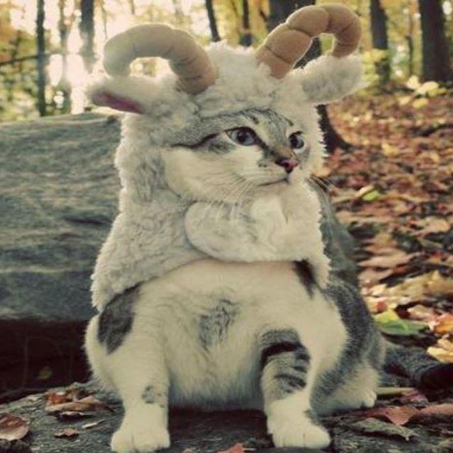 Кот баран: Русская народная сказка «Кот - серый лоб, козел да баран»